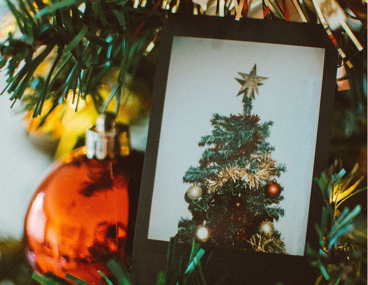 Why a Pink Tree with White Christmas Lights is Perfect for Your Travel